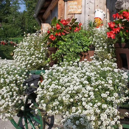 Holiday House Maj *